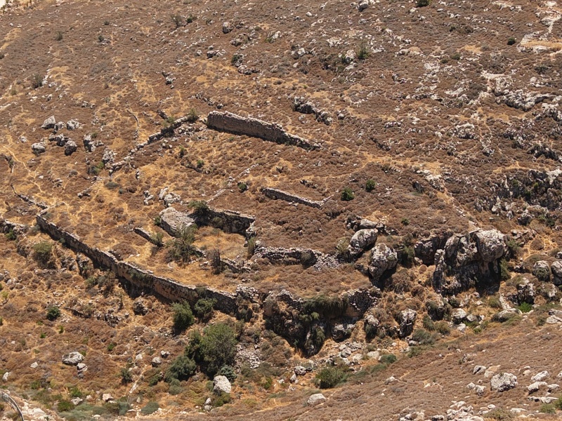 קובץ:2025-07-22T12 06 08.258193810263.jpg