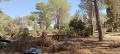 תמונה ממוזערת לגרסה מתאריך 11:58, 22 ביולי 2025