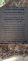 תמונה ממוזערת לגרסה מתאריך 12:53, 22 ביולי 2025