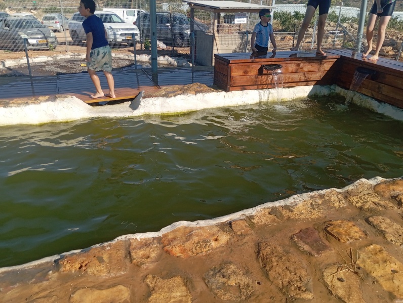 קובץ:2025-07-22T17 02 17.419165605138.jpg