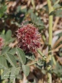 תמונה ממוזערת לגרסה מתאריך 09:33, 23 ביולי 2025