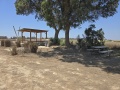 תמונה ממוזערת לגרסה מתאריך 10:05, 23 ביולי 2025