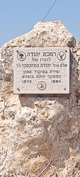 קובץ:2025-07-23T15 28 41.891193322055.jpg