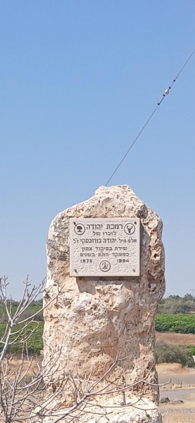 קובץ:2025-07-23T15 30 04.926699515371.jpg