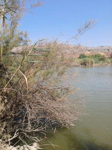 קובץ:2025-07-23T15 32 34.38457943968.jpg