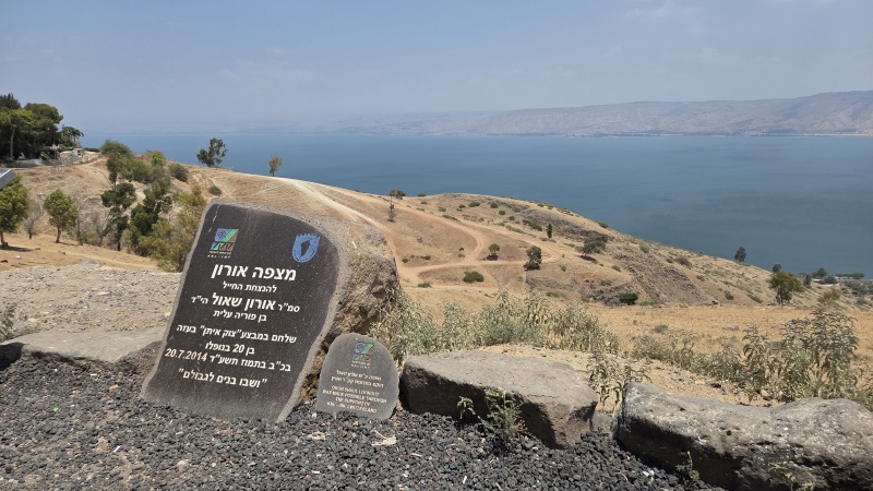 קובץ:2025-07-23T18 08 23.711504109453.jpg