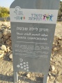 תמונה ממוזערת לגרסה מתאריך 19:09, 23 ביולי 2025