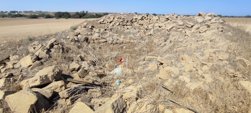 קובץ:2025-07-24T10 17 11.164413895224.jpg