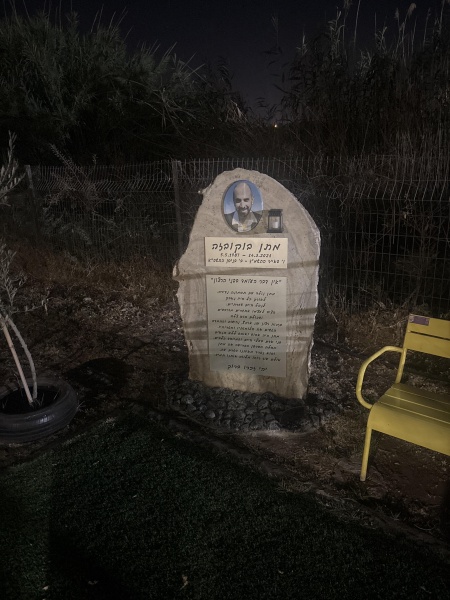 קובץ:2025-07-24T22 09 43.906287273816.jpg