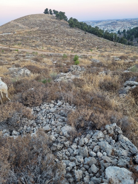 קובץ:2025-07-25T06 05 38.95782148.jpg