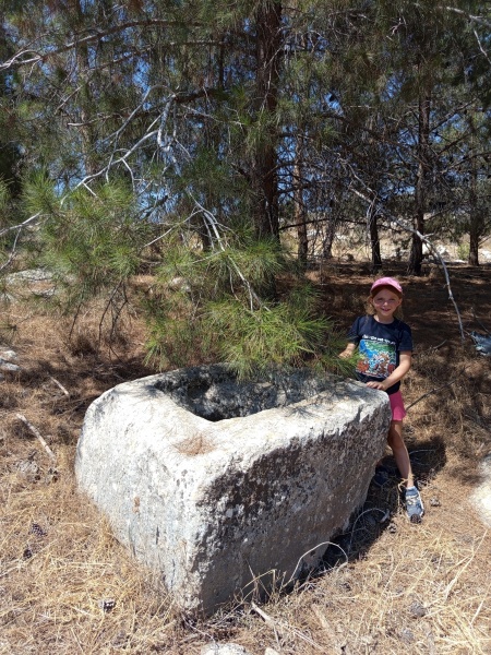 קובץ:2025-07-25T10 52 31.683955178100.jpg