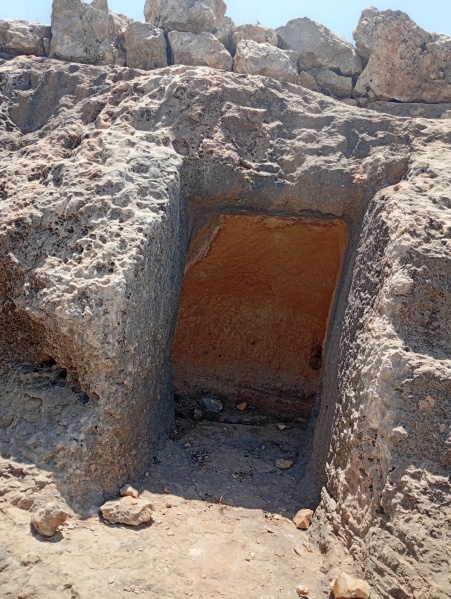 קובץ:2025-07-25T13 39 37.046733959347.jpg