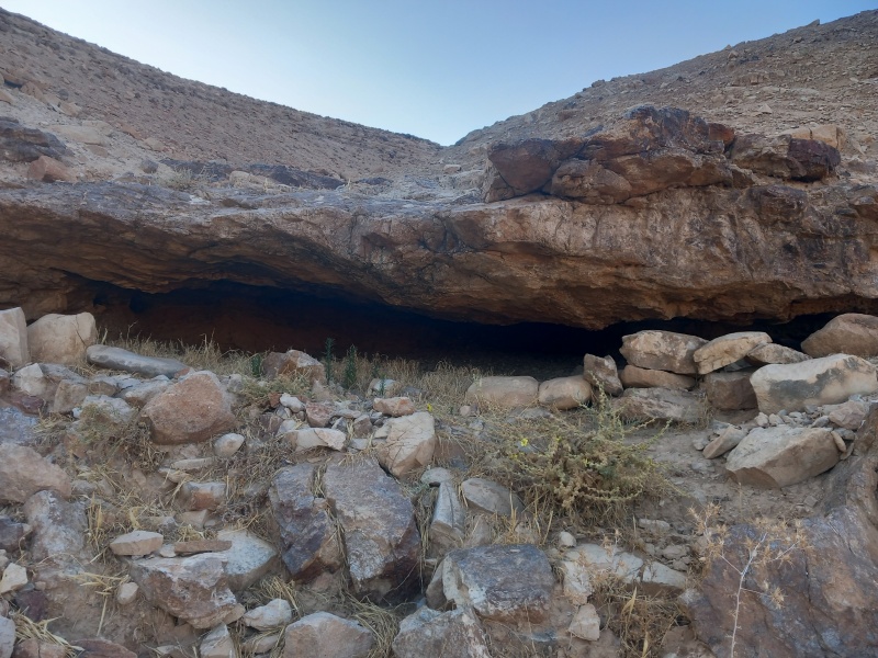 קובץ:2025-07-26T06 40 25.45136712607.jpg