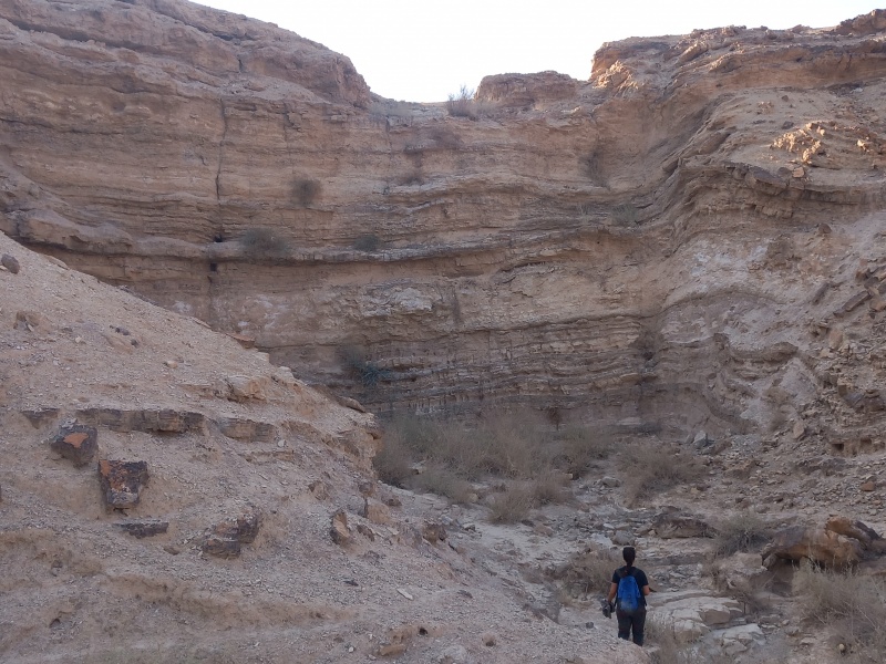 קובץ:2025-07-26T17 56 18.148595316444.jpg
