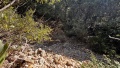 תמונה ממוזערת לגרסה מתאריך 12:57, 29 ביולי 2025