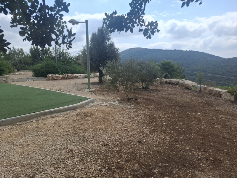 קובץ:2025-07-29T09 43 51.691921532059.jpg