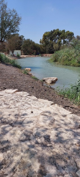 קובץ:2025-07-29T14 20 15.348059329008.jpg