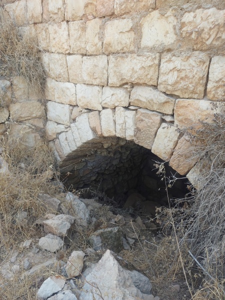 קובץ:2025-07-29T15 39 58.238005538192.jpg