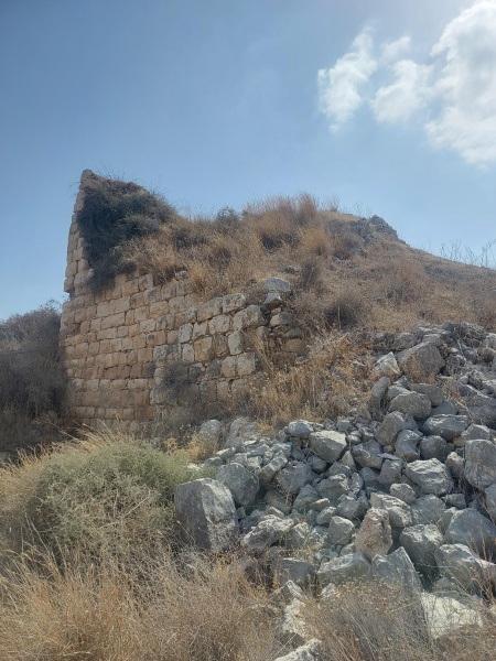 קובץ:2025-07-29T15 43 37.739765322329.jpg