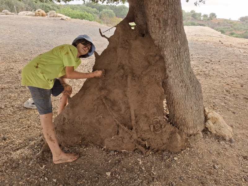 קובץ:2025-07-29T17 45 45.267012982407.jpg