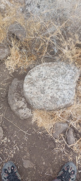 קובץ:2025-07-31T07 30 18.924471860079.jpg