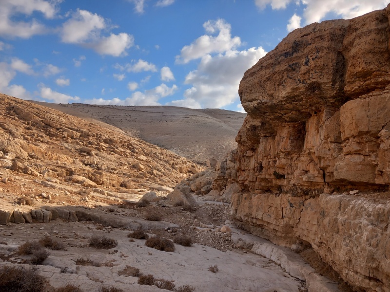 קובץ:2025-08-01T07 42 38.334876575865.jpg