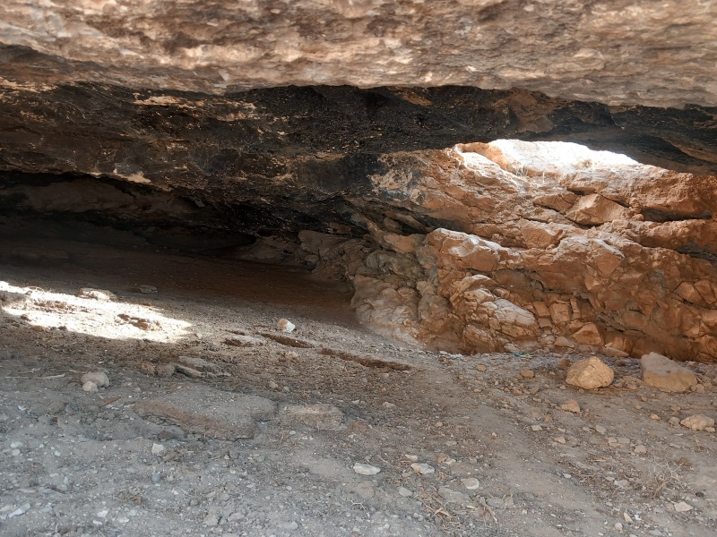 קובץ:2025-08-01T07 57 43.472125227537.jpg