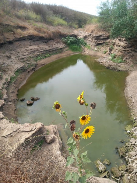 קובץ:2025-08-01T10 42 14.010067470349.jpg