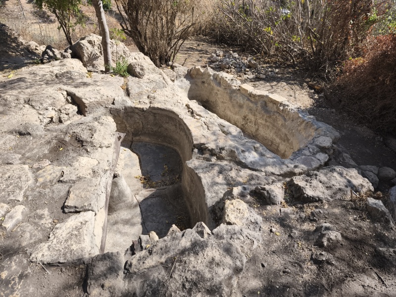 קובץ:2025-08-01T16 09 26.216341153697.jpg