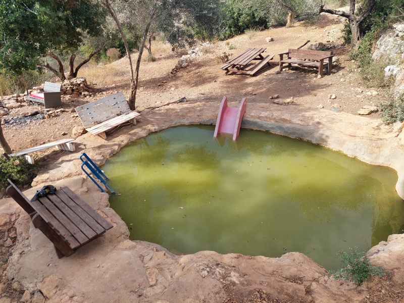 קובץ:2025-08-01T16 30 42.621872241547.jpg