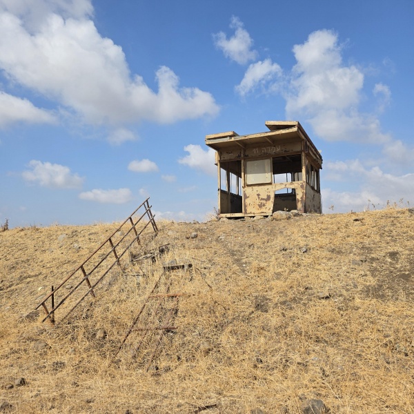 קובץ:2025-08-02T09 18 05.26296180652.jpg