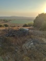 תמונה ממוזערת לגרסה מתאריך 15:40, 2 באוגוסט 2025