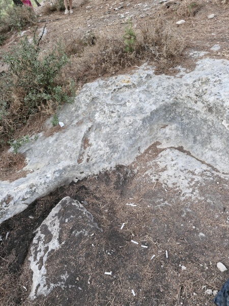 קובץ:2025-08-02T19 38 01.988817242083.jpg