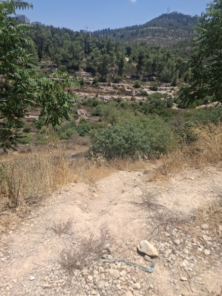 קובץ:2025-08-03T12 27 56.258336428482.jpg
