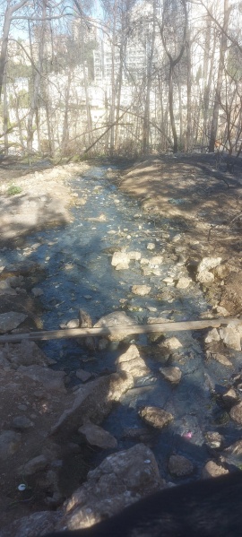 קובץ:2025-08-03T17 01 44.271823541553.jpg