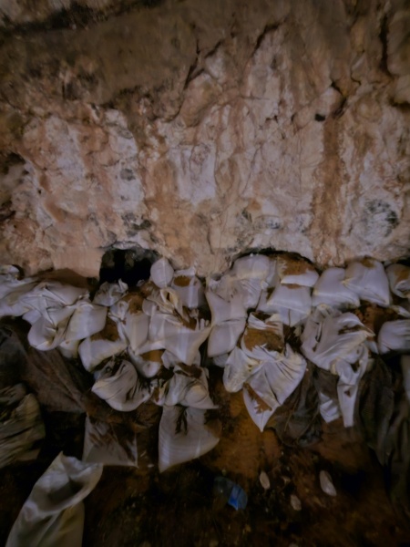 קובץ:2025-08-04T03 06 44.892925217684.jpg