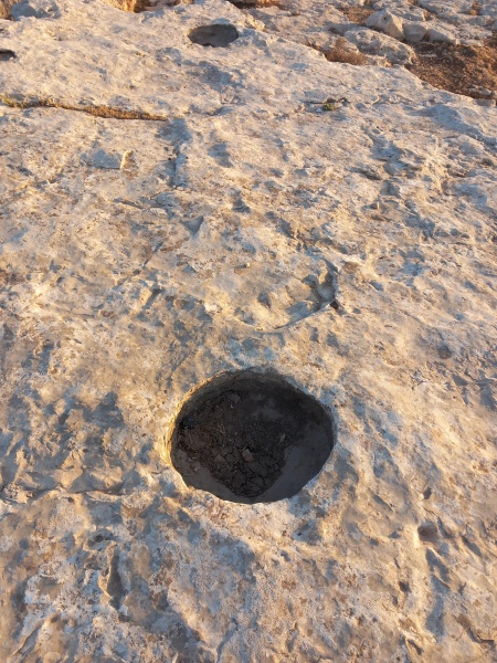 קובץ:2025-08-04T06 30 12.209624111515.jpg