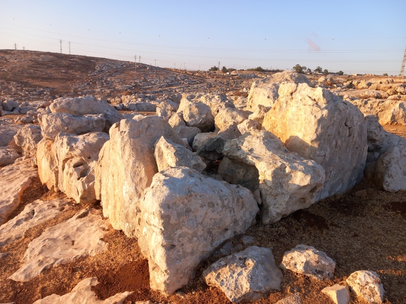 קובץ:2025-08-04T06 34 58.059859381645.jpg
