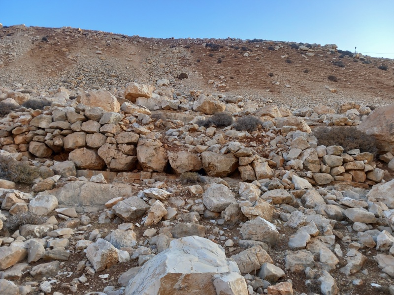 קובץ:2025-08-04T06 43 09.697936211634.jpg