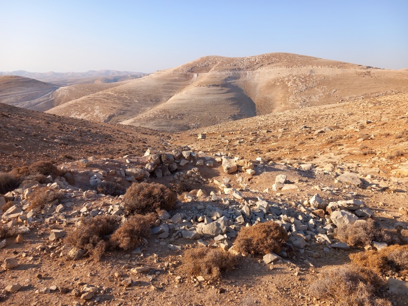 קובץ:2025-08-04T07 22 20.720534658883.jpg