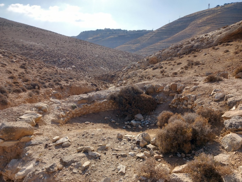 קובץ:2025-08-04T08 10 47.897627579702.jpg