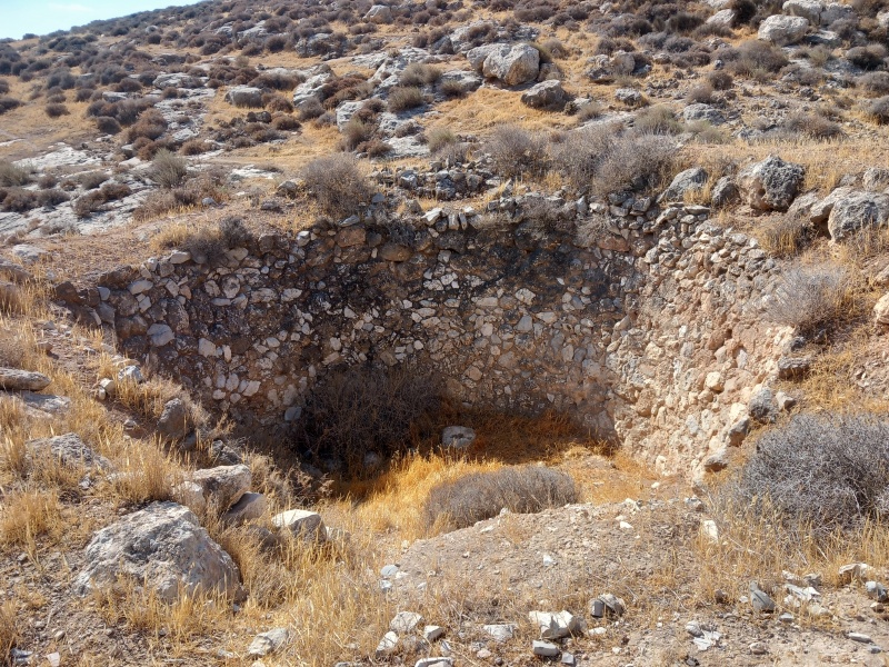 קובץ:2025-08-04T09 11 17.364869415281.jpg