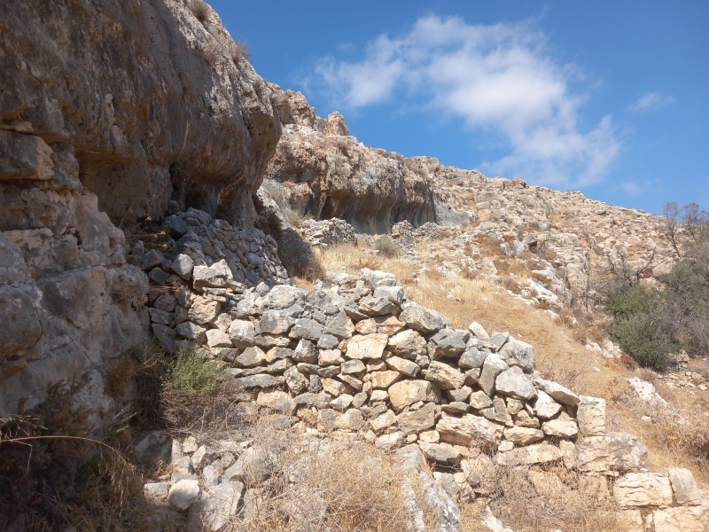 קובץ:2025-08-04T09 30 15.96979439318.jpg