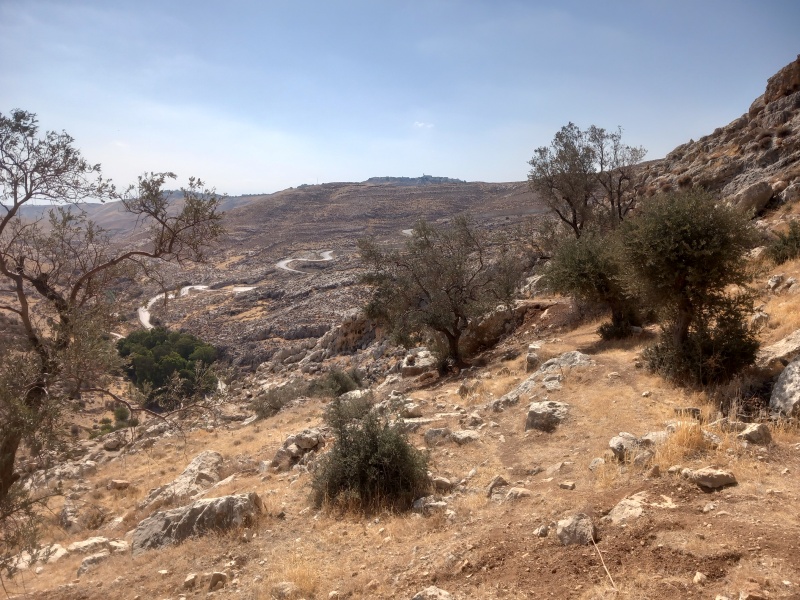 קובץ:2025-08-04T09 33 38.265170757844.jpg