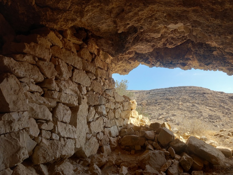 קובץ:2025-08-04T09 38 19.787172666639.jpg