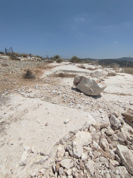 קובץ:2025-08-04T12 30 58.64832117235.jpg