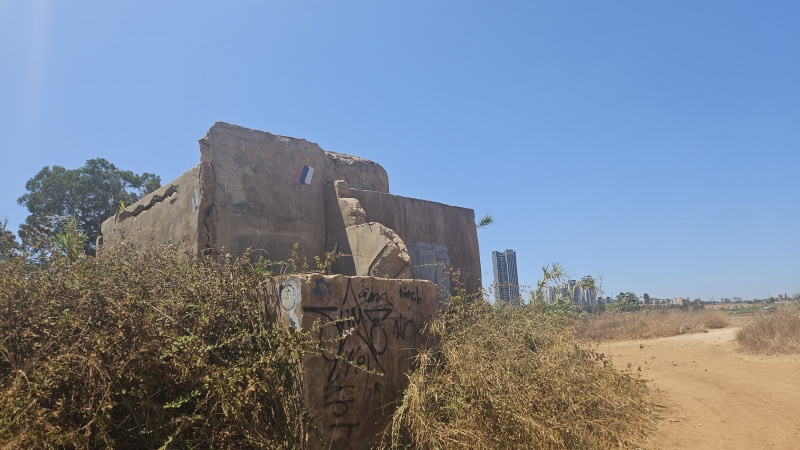 קובץ:2025-08-04T13 56 28.223028116404.jpg