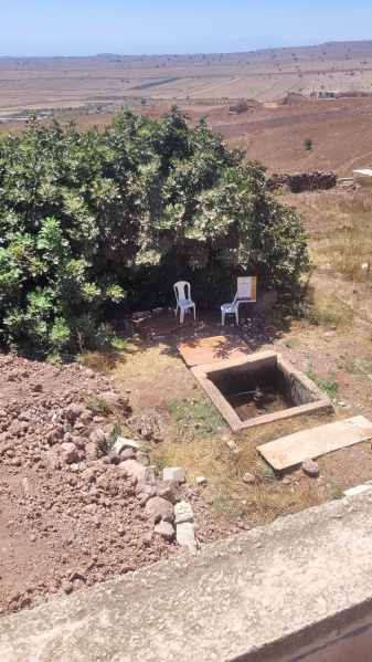 קובץ:2025-08-04T19 04 03.472284522562.jpg