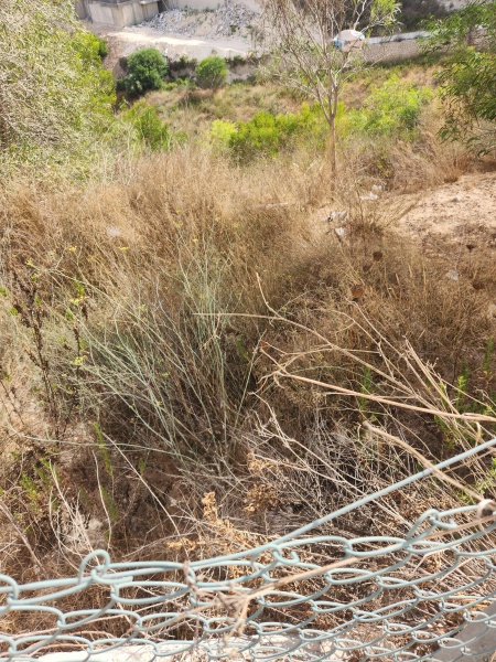 קובץ:2025-08-05T09 06 10.647038802794.jpg
