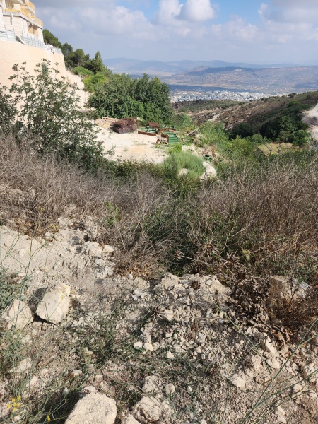 קובץ:2025-08-05T09 09 25.515465321890.jpg
